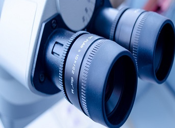 Cellule d’Appui Analytique et Technique