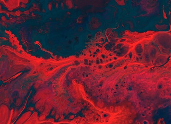 Biomécanique des Fluides